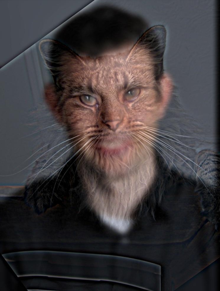 derekcat.jpg